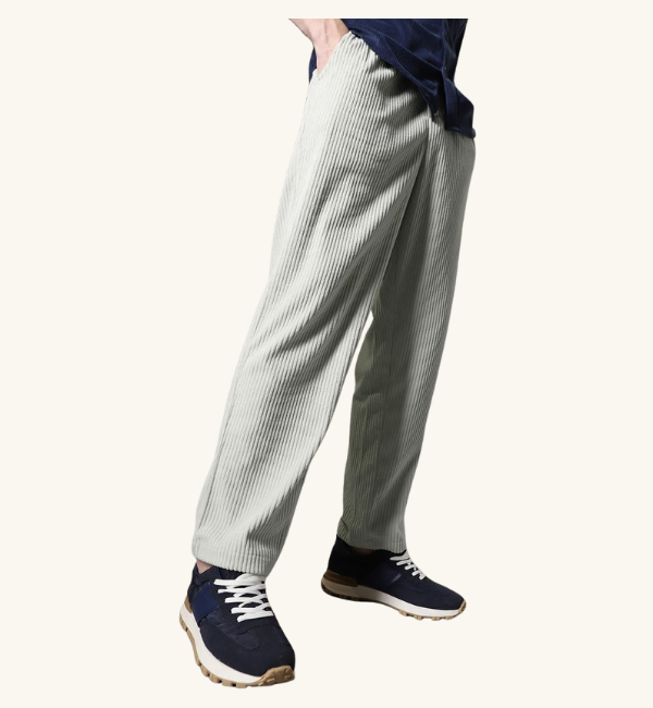 Combo of 2 Men's Caudray Fabric Stylish Pants
