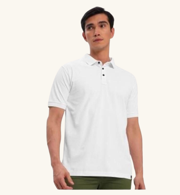 Poly Cotton Solid Half Sleeves Mens Polo T-shirt (Pack of 3)