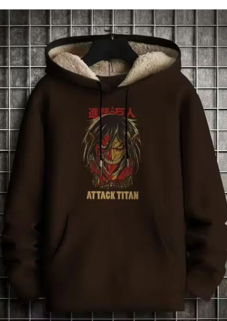 AOT pure wool hoodie